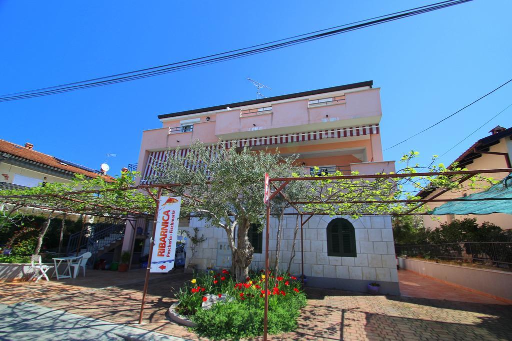 Apartments Miani Novigrad Istria Eksteriør bilde